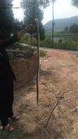朝阳村 看我们四川盛产大蟒蛇