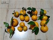 浙江省,台州市,黄岩区,新前街道,屿下村