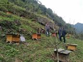 甘肃省,陇南市,康县,迷坝乡,八罗村