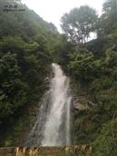 甘肃省,陇南市,康县,迷坝乡,八罗村