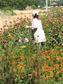 甘肃省,陇南市,康县,迷坝乡,八罗村