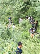 甘肃省,陇南市,康县,迷坝乡,八罗村