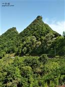 甘肃省,陇南市,康县,迷坝乡,八罗村