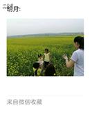 山西省,朔州市,右玉县,元堡子镇,宣阳寨村