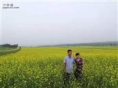 山西省,朔州市,右玉县,元堡子镇,宣阳寨村