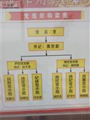 芦庄村 党组织构架图