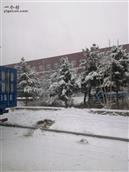 福塘村 今年冬天第四场雪