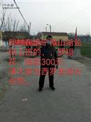 山东省,滨州市,惠民县,石庙镇,西罗村