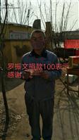 山东省,滨州市,惠民县,石庙镇,西罗村