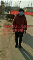 山东省,滨州市,惠民县,石庙镇,西罗村