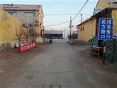 山东省,滨州市,惠民县,石庙镇,西罗村
