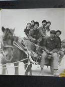 辽宁省,抚顺市,清原县,南山城镇,黑石头村