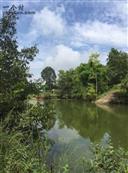 四川省,绵阳市,江油市,大堰乡,红豆村