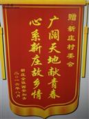 陕西省,渭南市,临渭区,向阳街道,新庄村