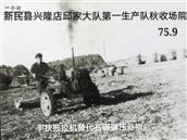 邱家屯村 老照片:这是当年生产队场院，生产队刚买不久的手扶拖拉机，在场院碾压黄豆，开拖拉机的是我。