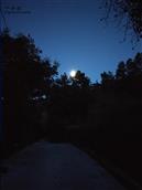 五里村 故乡的月亮就是圆