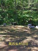 辽宁省,抚顺市,清原县,南山城镇,黑石头村