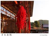 辽宁省,抚顺市,清原县,夏家堡镇,卜屯村