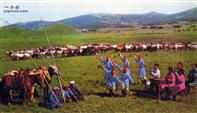 内蒙古,锡林郭勒盟,西乌珠穆沁旗,浩勒图高勒镇,乌日吉勒嘎查村