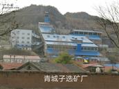 皇宫社区 当年丹东、青城子的一部分知青返城安排工，招进青城铅矿。有职员、工人。