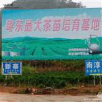 广东省,潮州市,饶平县,新塘镇,南淳村