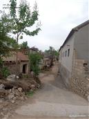 南龙角村 村中农居。