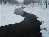 班家村 冬天的小河