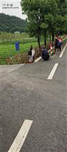 湖南省,湘西州,龙山县,茨岩塘镇,凉水村