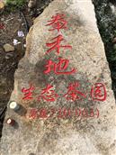 广东省,梅州市,丰顺县,潭江镇,银溪村