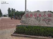 东辛庄村 