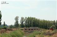 内蒙古,巴彦淖尔市,磴口县,沙漠林业实验中心农场,一实验场村