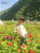 甘肃省,陇南市,康县,迷坝乡,八罗村