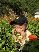 甘肃省,陇南市,康县,迷坝乡,八罗村