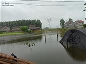 金星村 庄家全淹没了