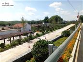 山东省,烟台市,招远市,大秦家街道,堡子村