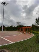徐家沟村 新建公园一角。