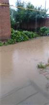 西堤北村 我的村，我的家，我村内的积水，真美胜江南。