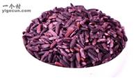 南沙村 请问南沙哪家有自己种的紫糯米，要2020年才收的