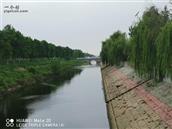 赵庄村 河，桥，柳。