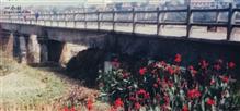 洲子村 赤岸公社通向县城的“上桥”。摄於1992年初冬季节