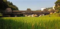 广西,柳州市,三江县,独峒乡,平流村