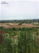 山东省,威海市,荣成市,宁津街道,大岔河村