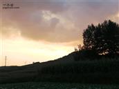 卯家营村 这是在卯家营村的岩甲拍的夕阳