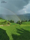 美德村 雨后的彩虹