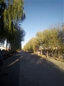 内蒙古,通辽市,科尔沁左翼中旗,舍伯吐镇,西章古台嘎查