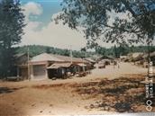 旱谷坪村 1995年的惠民茶场