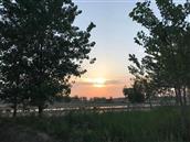 安徽省,宿州市,灵璧县,夏楼镇,火庙村