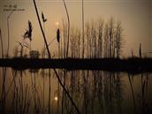 安徽省,宿州市,灵璧县,夏楼镇,火庙村