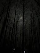 安徽省,宿州市,灵璧县,夏楼镇,火庙村