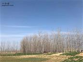 安徽省,宿州市,灵璧县,夏楼镇,火庙村